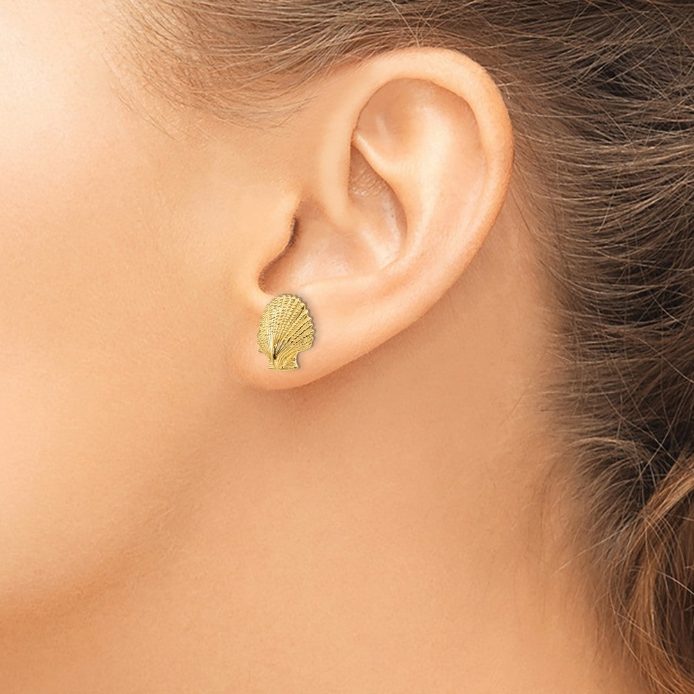 14K Gelbgold Muschel-Ohrstecker mit Wellenrand