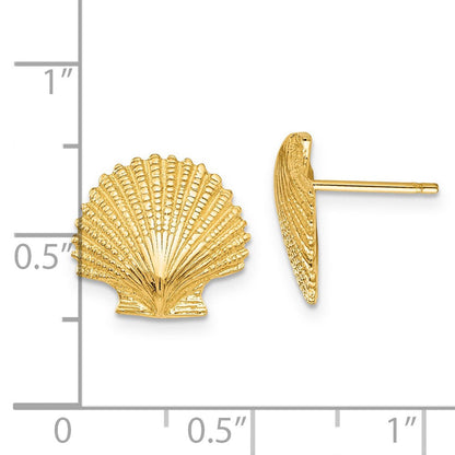 14K Gelbgold Muschel-Ohrstecker mit Wellenrand