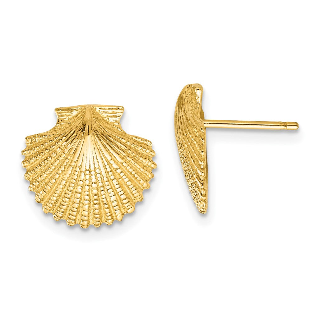 14K Gelbgold Muschel-Ohrstecker mit Wellenrand