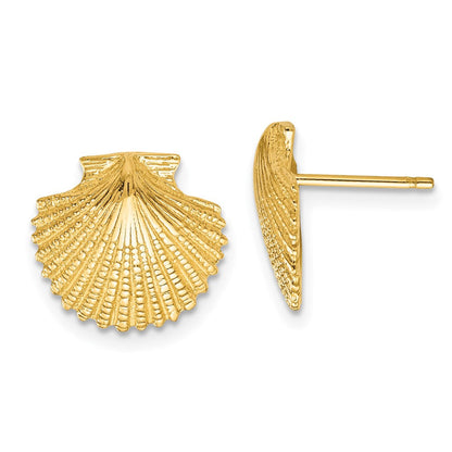 14K Gelbgold Muschel-Ohrstecker mit Wellenrand