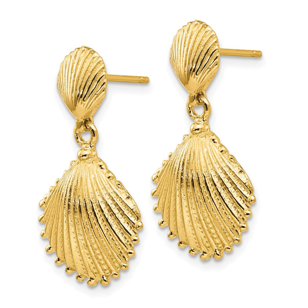 14K Gelbgold Muschelschalen-Ohrhänger mit Stecker