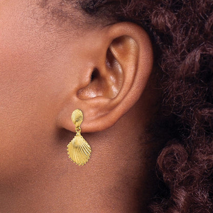 14K Gelbgold Muschelschalen-Ohrhänger mit Stecker