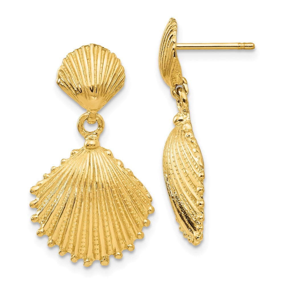 14K Gelbgold Muschelschalen-Ohrhänger mit Stecker