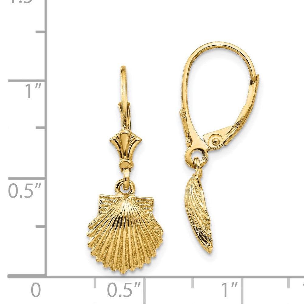 14K Gelbgold Muschelschalen-Ohrhänger mit Leverback-Verschluss