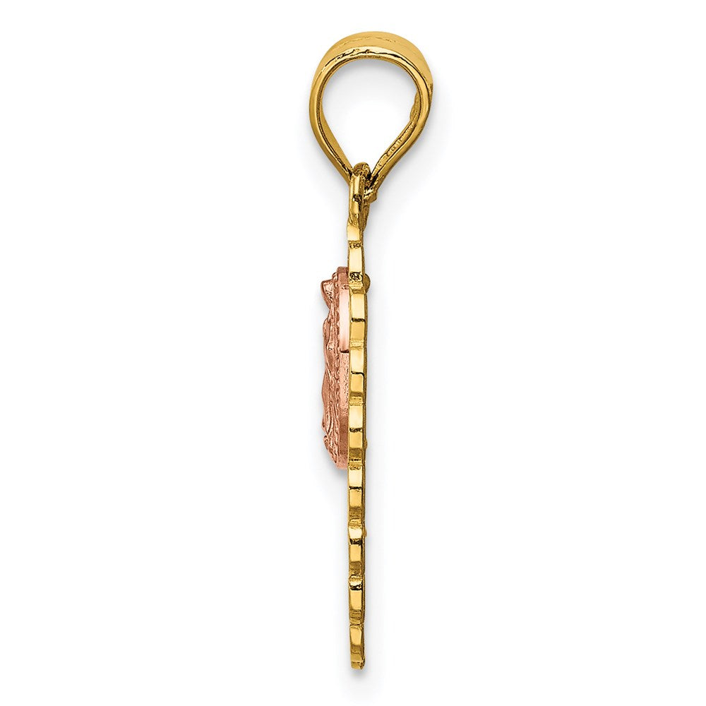 14K Bicolor 15 Guadalupe Anhänger