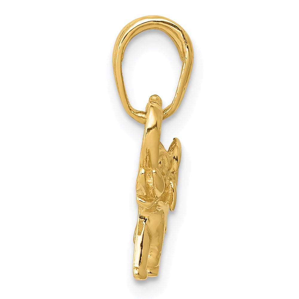 14K Gelbgold Poliert Elefant Charm