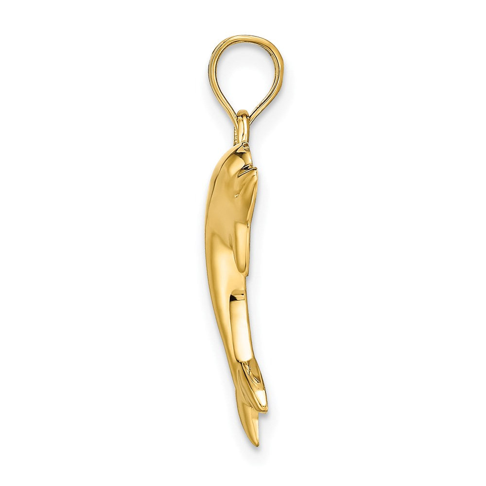 14K Gelbgold Poliert Delfin Charm