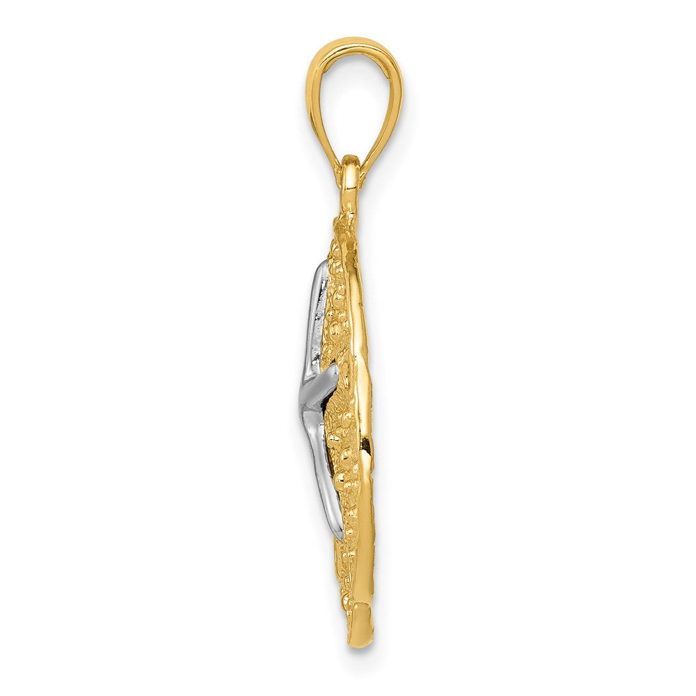 14K Bicolor-Gold Sanddollar-Anhänger mit Seestern