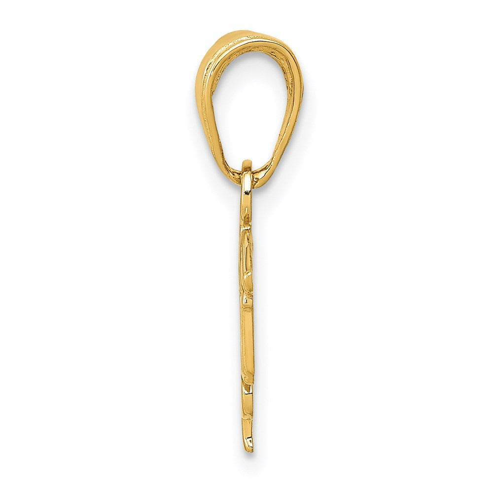 14K Gelbgold Lpn Symbol Anhänger