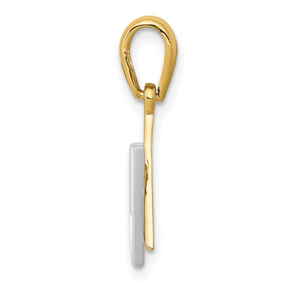 14 Karat Bicolor-Gold Davidstern-Charm mit Schin