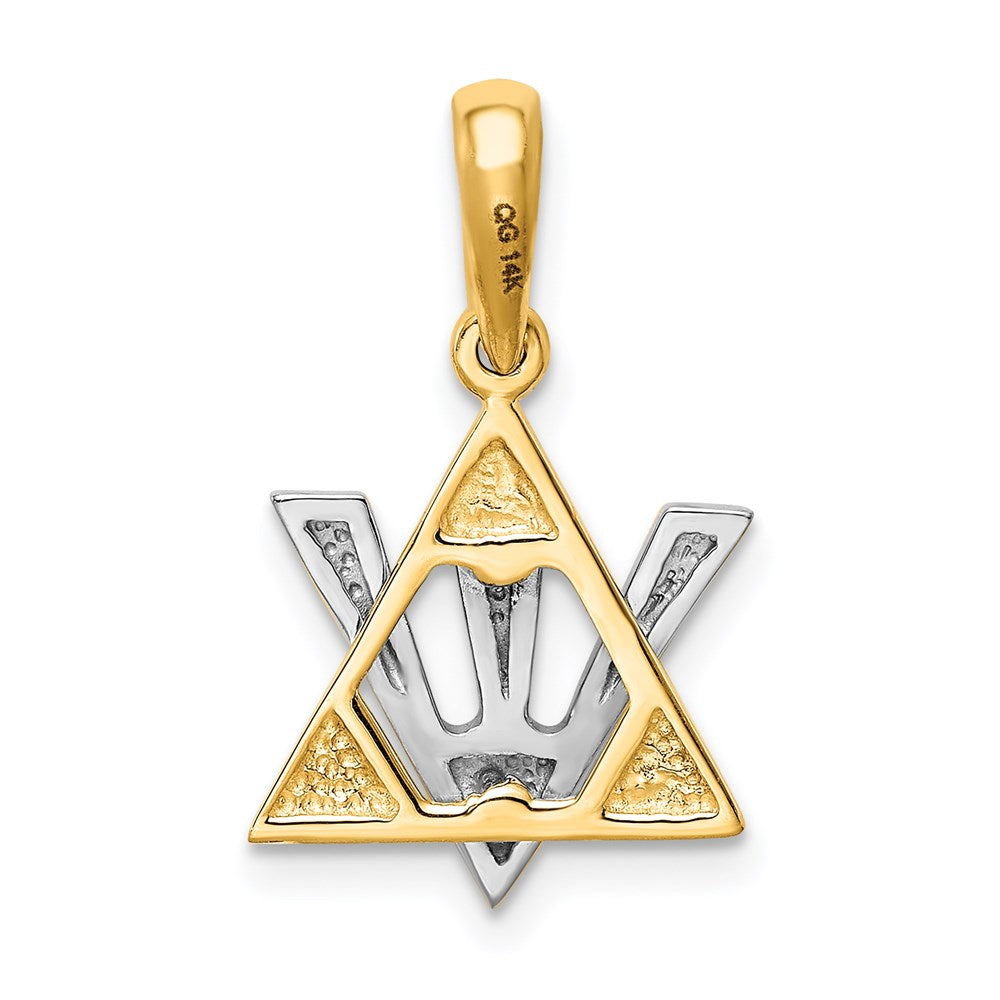 14 Karat Bicolor-Gold Davidstern-Charm mit Schin