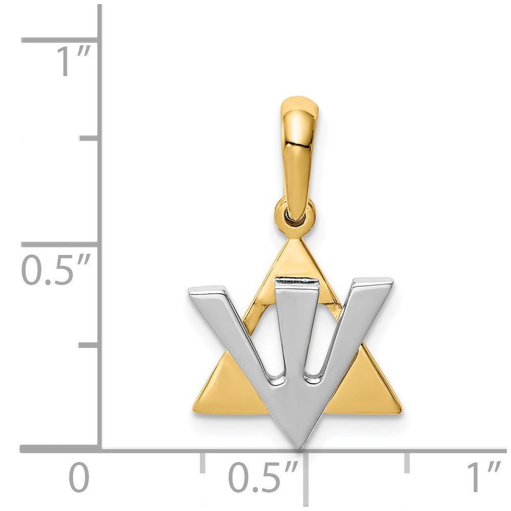 14 Karat Bicolor-Gold Davidstern-Charm mit Schin