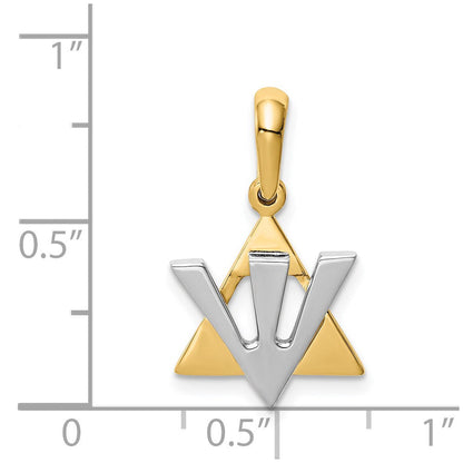 14 Karat Bicolor-Gold Davidstern-Charm mit Schin