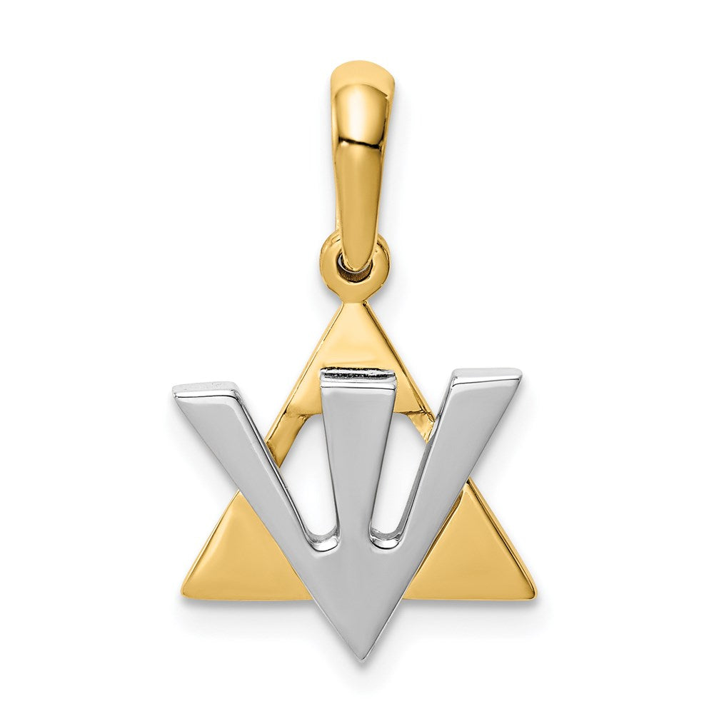 14 Karat Bicolor-Gold Davidstern-Charm mit Schin