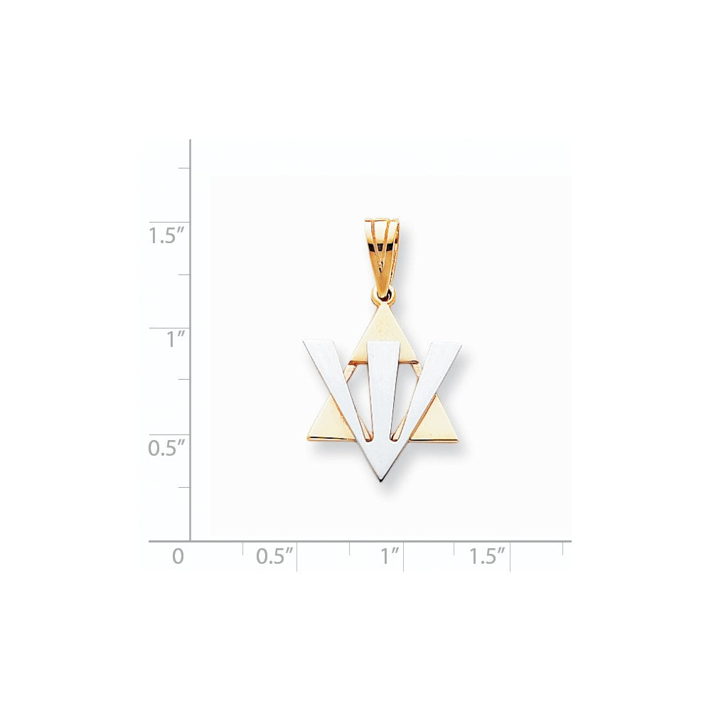14K Bicolor Gold Fancy Davidstern-Anhänger mit Schin