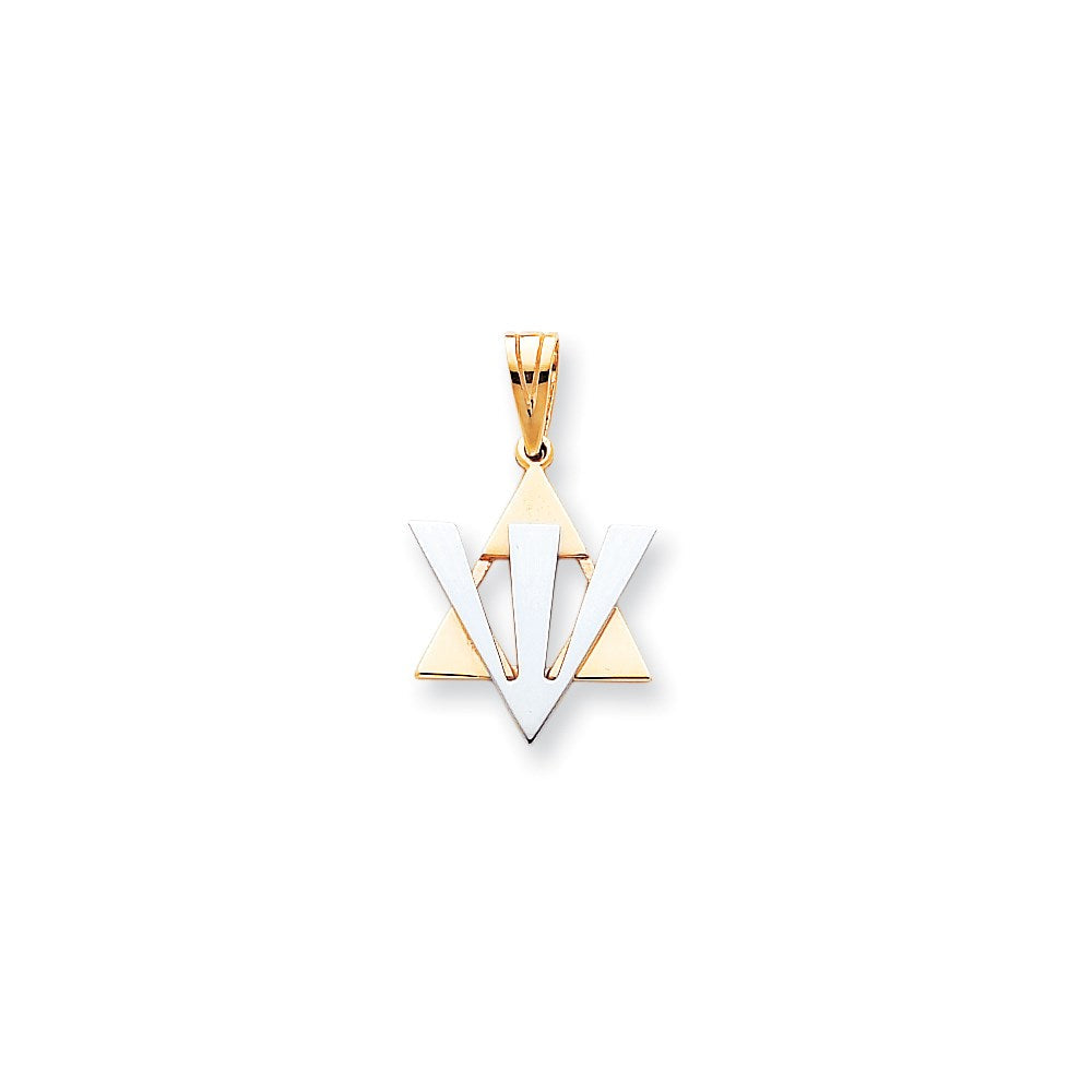 14K Bicolor Gold Fancy Davidstern-Anhänger mit Schin