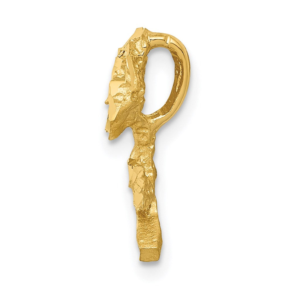 14K Gelbgold Satiniert Diamantiert Rose Kette Anhänger