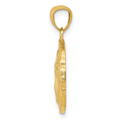14K Gelbgold Großer Polierter Sanddollar-Anhänger
