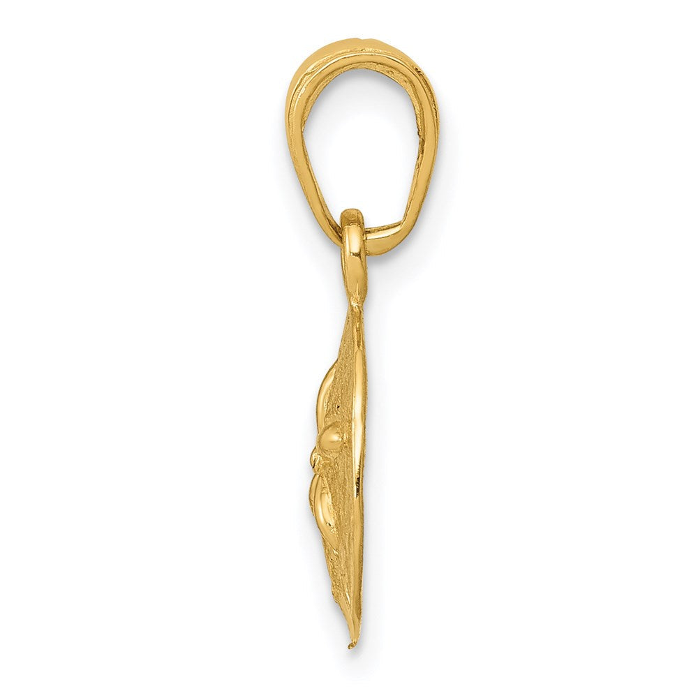 14K Gelbgold Poliert Sand Dollar Anhänger
