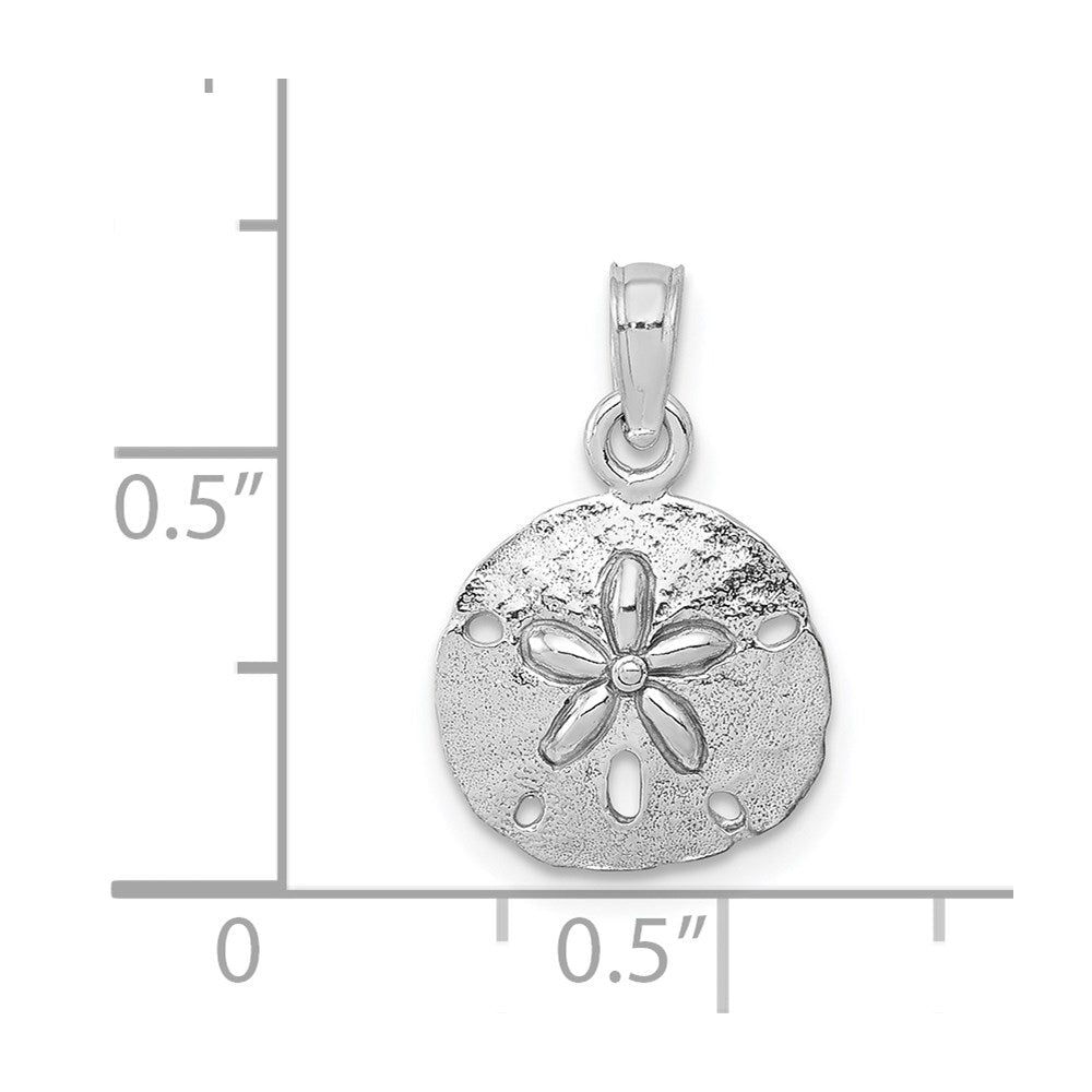 14K Weißgold Poliert Sand Dollar Anhänger