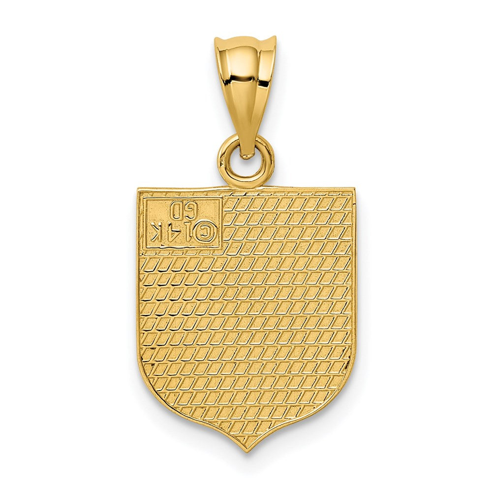 14K Gelbgold USA-Flagge emaillierter Anhänger