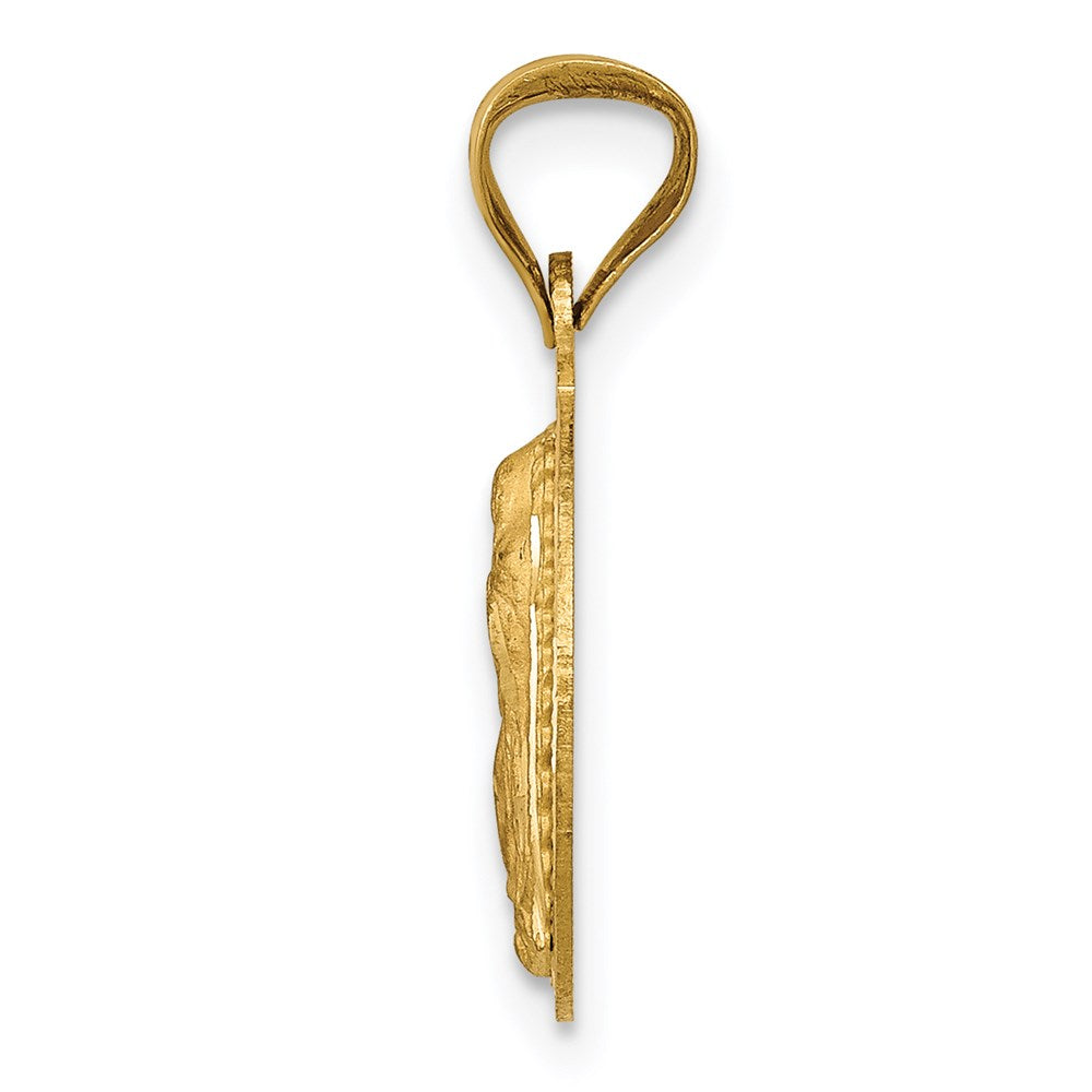 14K Gelb & Rhodium mit Rhodium Poliert Diamantiert Damen Of Guadalupe Kreis Anhänger