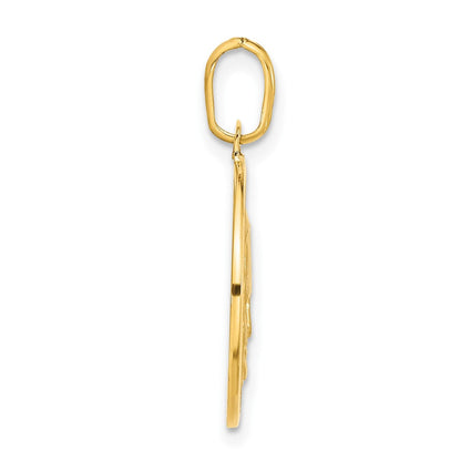 14K Gelbgold Polierter und Satinierter Papa-Francesco-Medaille-Anhänger