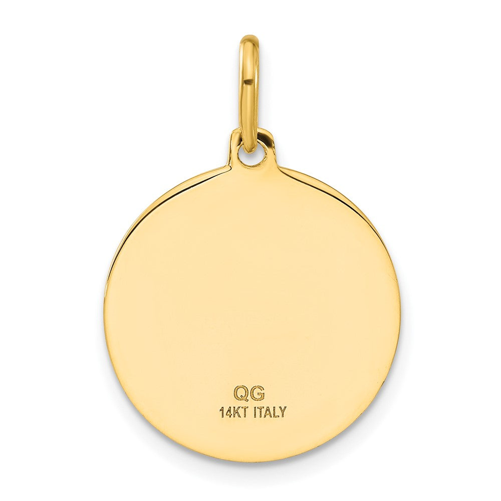 14K Gelbgold Polierter und Satinierter Papa-Francesco-Medaille-Anhänger