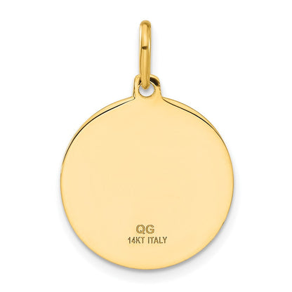 14K Gelbgold Polierter und Satinierter Papa-Francesco-Medaille-Anhänger