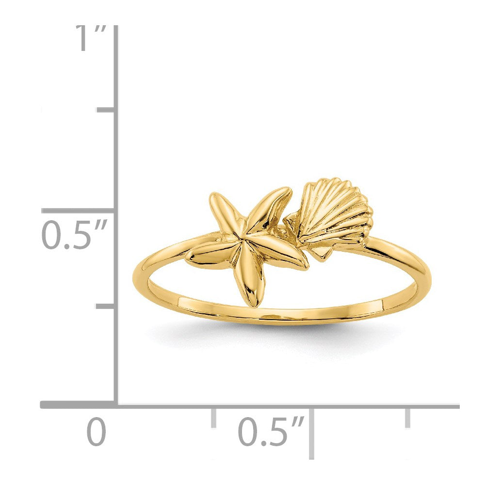 14K Gelbgold Ring mit poliertem Muschel- und Seesternmotiv