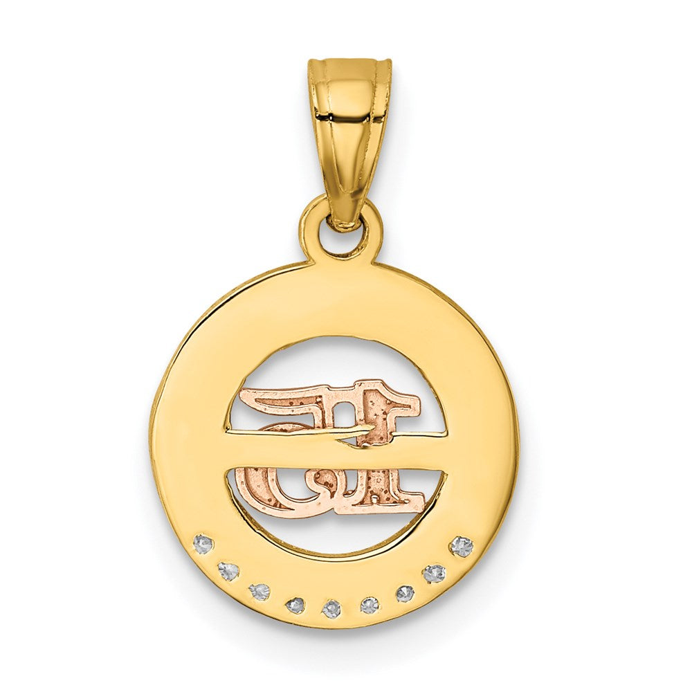 14K Bicolor mit Weiß Rhodium Zirkonia 15 Anhänger