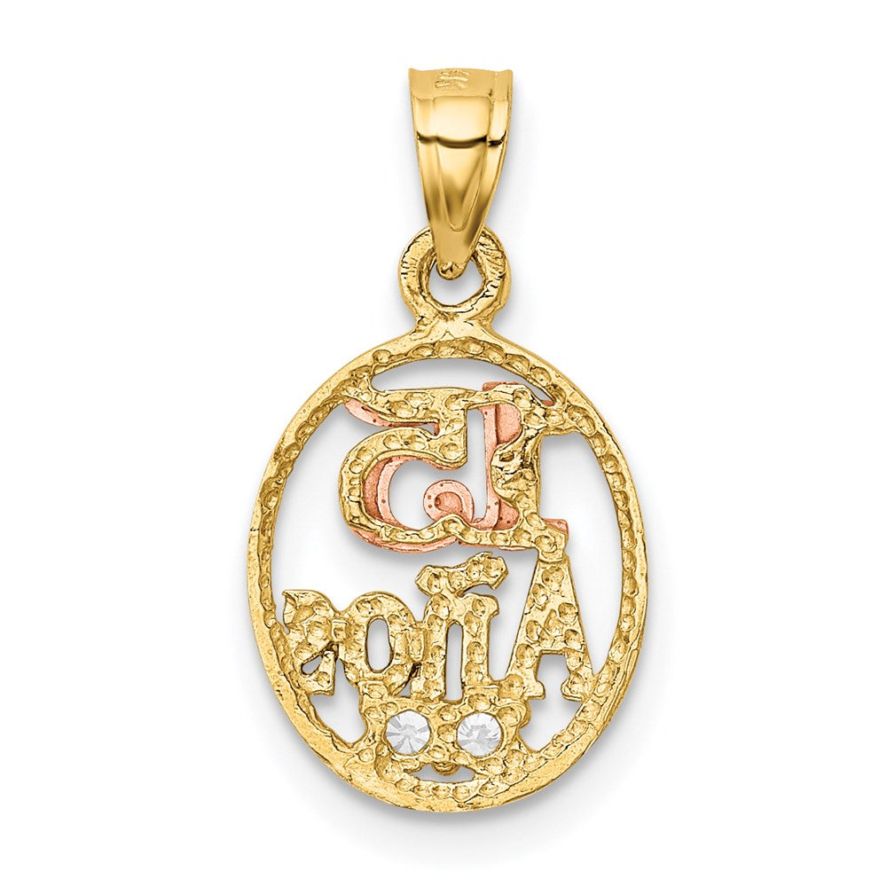 14K Bicolor mit Weiß Rhodium Zirkonia 15 Anos Anhänger