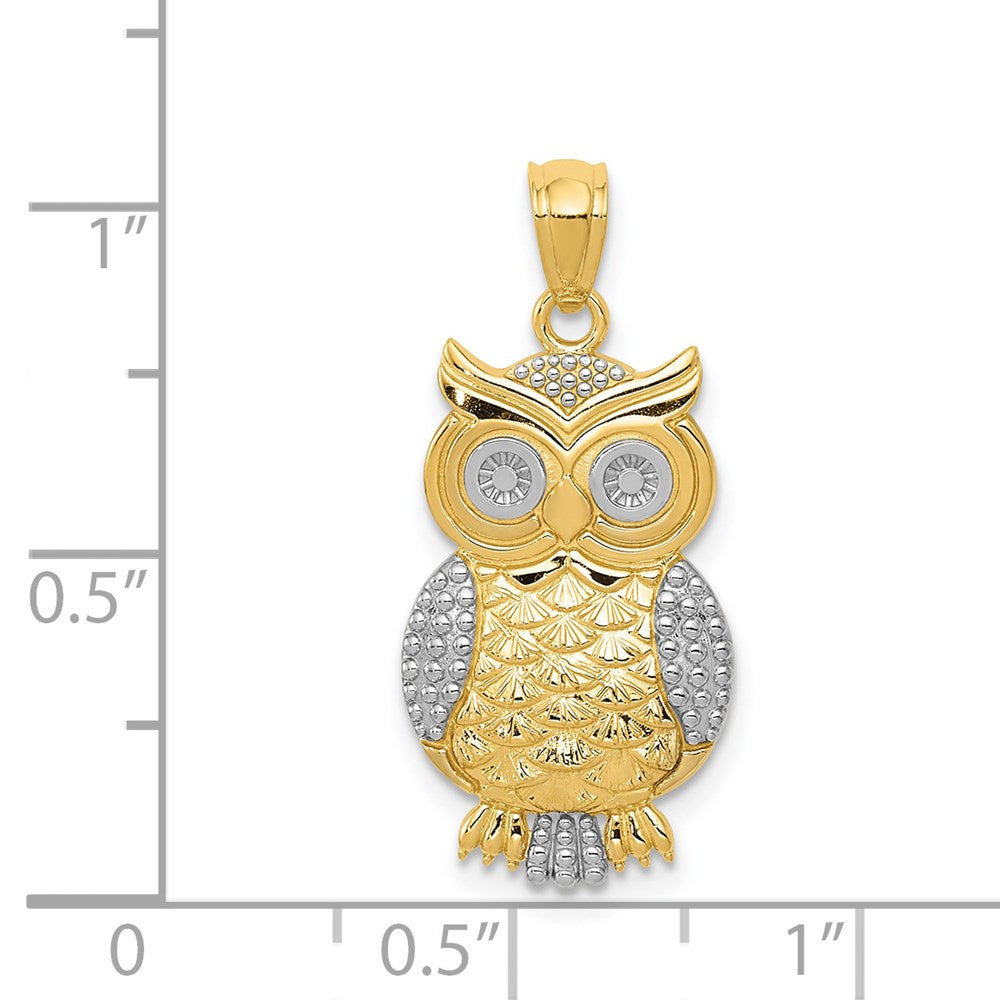 14K Gelb & Rhodium mit Poliert / Strukturiert Eule Anhänger