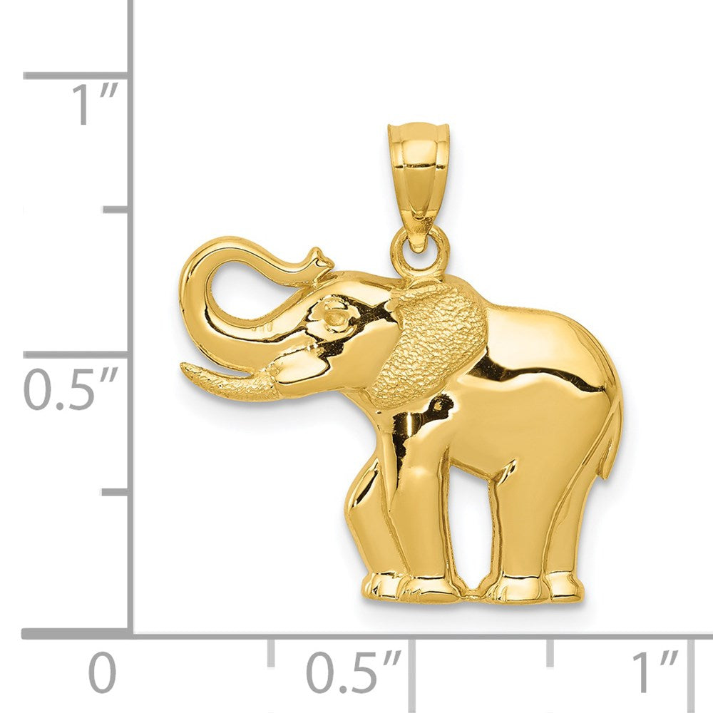 14K Gelbgold Poliert / Satiniert Elefant Anhänger