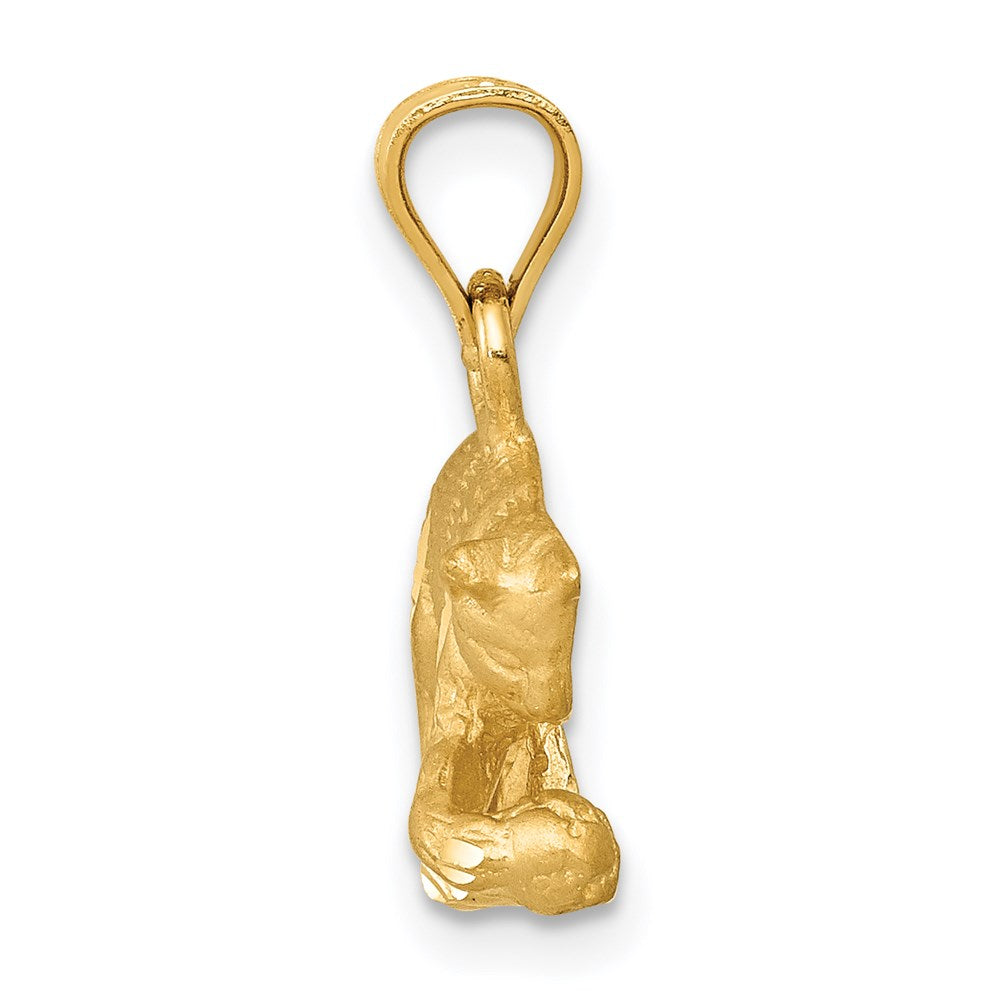 14K Gelbgold Katzen-Anhänger, satiniert und diamantiert