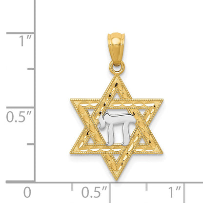 14K Gelb & Rhodium mit Rhodium Stern Of David mit Chai Anhänger