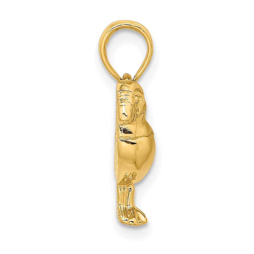14K Gelbgold 2-D Polierter und Strukturierter Papageientaucher-Vogel-Charm