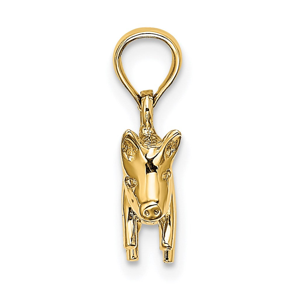 14K Gelbgold 3-D polierter Schwein-Charm mit Ringelschwanz