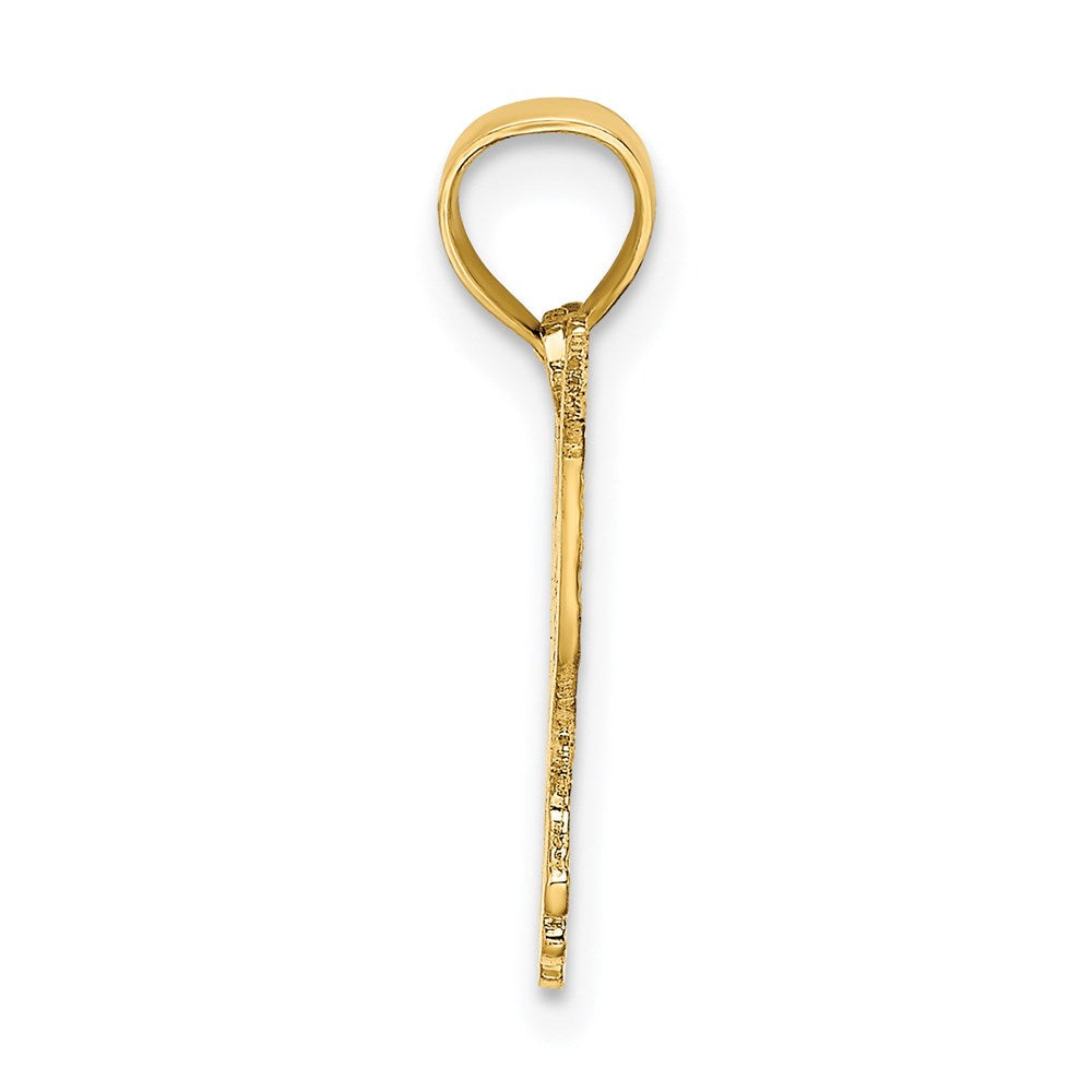 14K Gelbgold Poliert und Graviert Hummingbird Charm