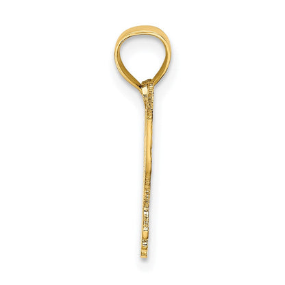 14K Gelbgold Poliert und Graviert Hummingbird Charm