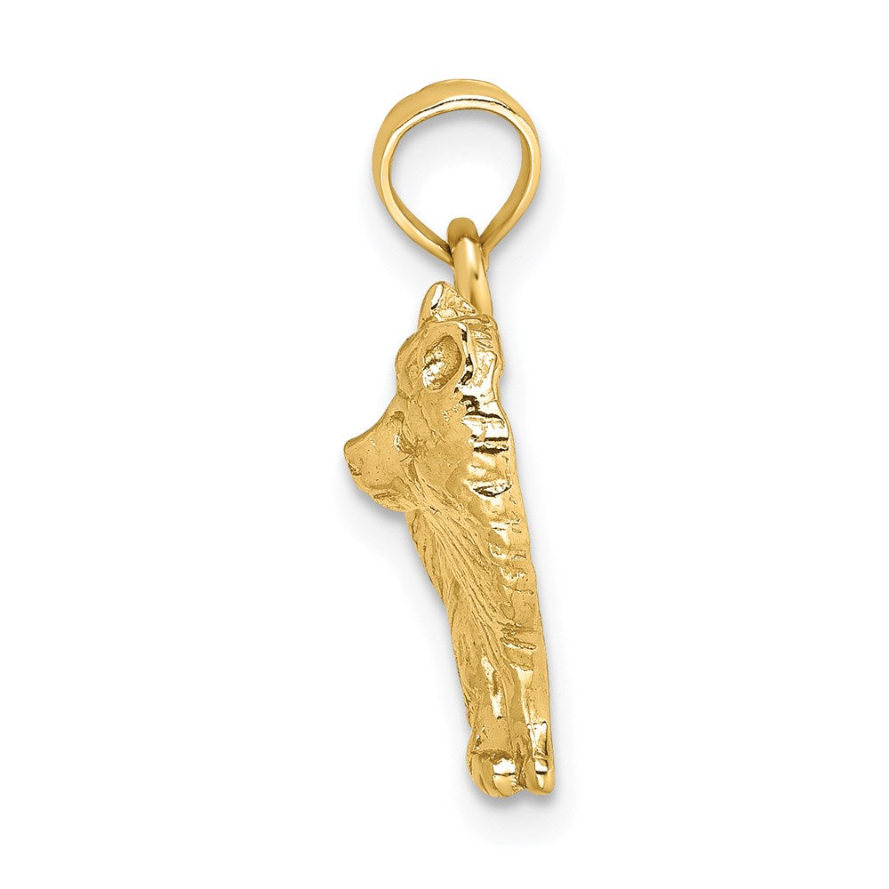 14K Gelbgold Polierter Pomeranian-Hund Charm