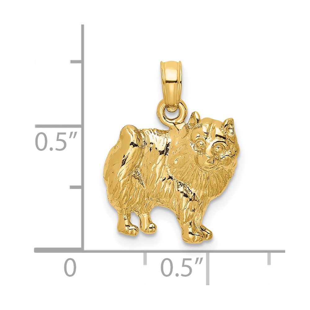 14K Gelbgold Polierter Pomeranian-Hund Charm