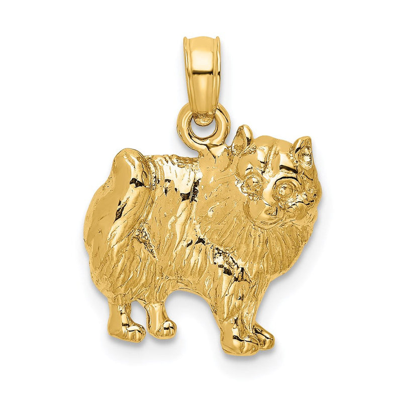 14K Gelbgold Polierter Pomeranian-Hund Charm