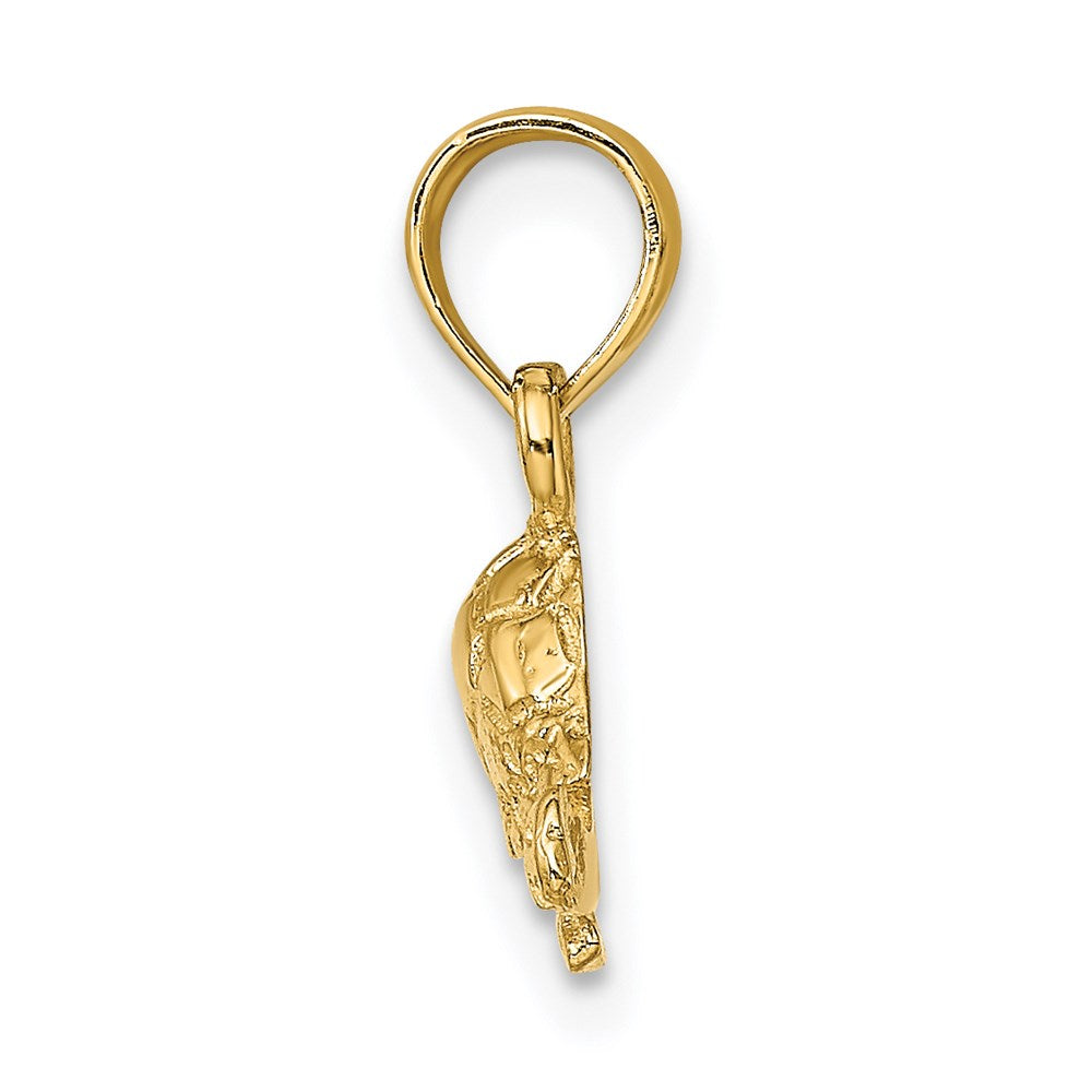 14K Gelbgold Poliert und Graviert Mini Schildkröte Charm