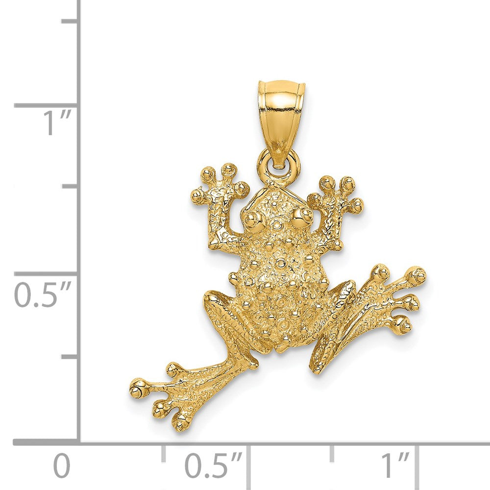 14K Gelbgold 2D-strukturierter Frosch-Charm