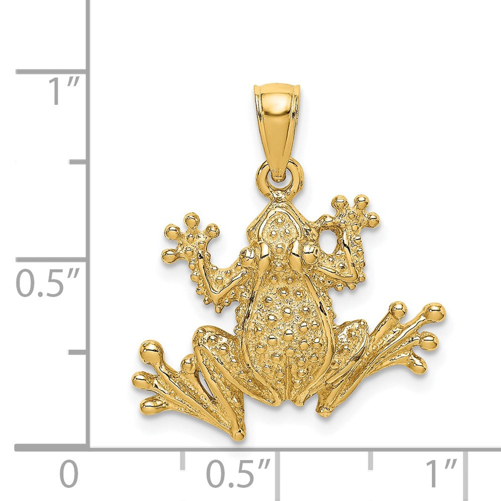 14K Gelbgold 2D-strukturierter Frosch-Charm