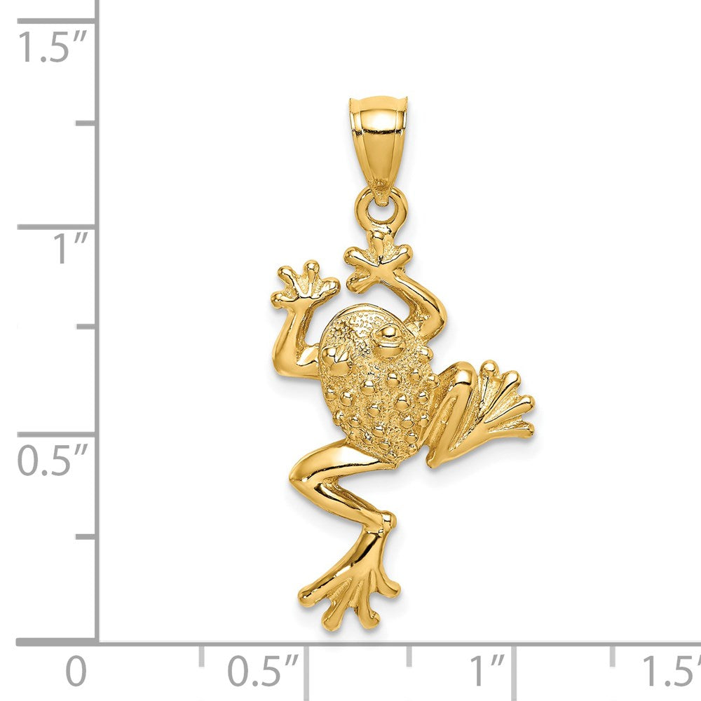 14K Gelbgold Frosch-Charm mit strukturierter Rückseite