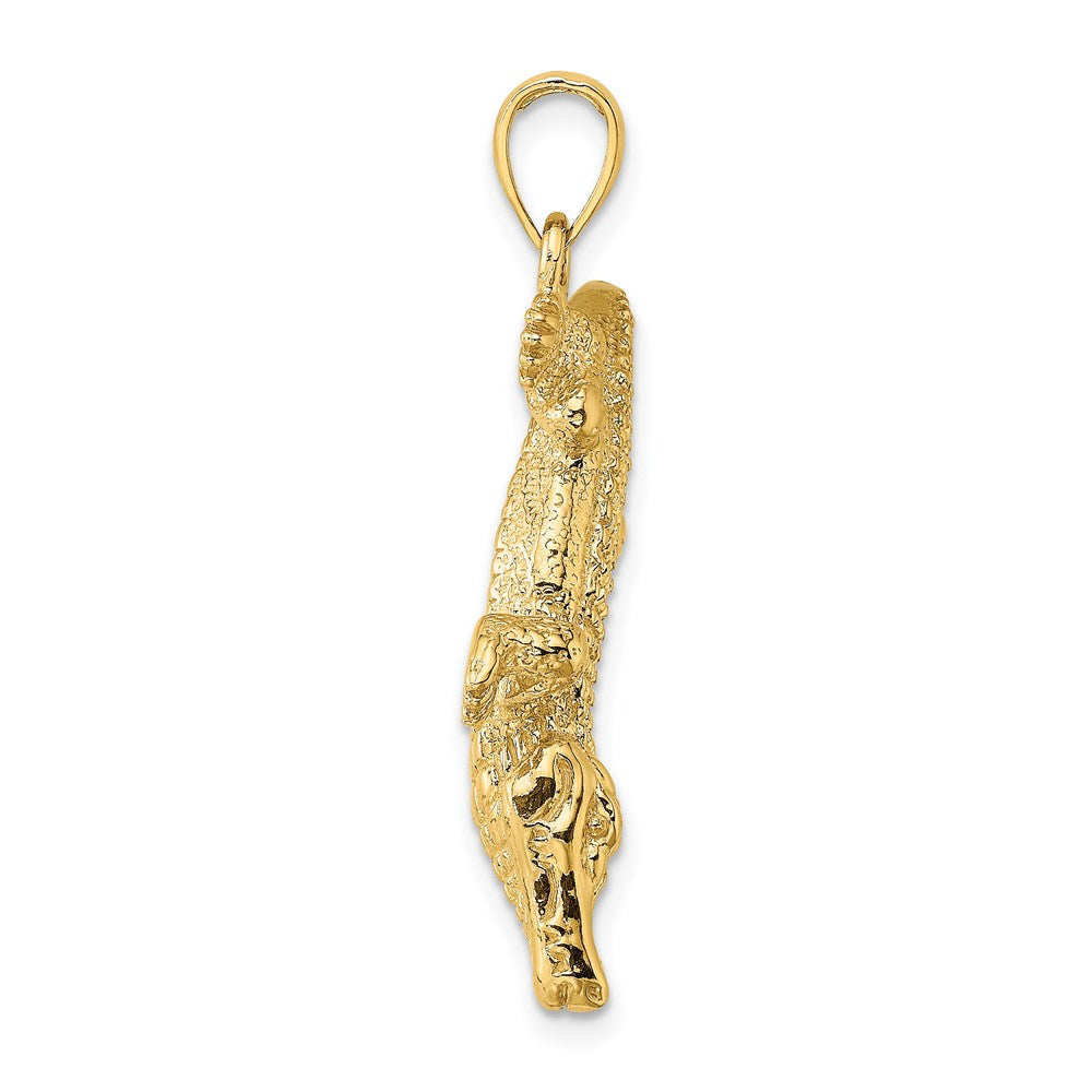 14K Gelbgold 3-D Alligator-Charm mit geschlossenem Maul, groß