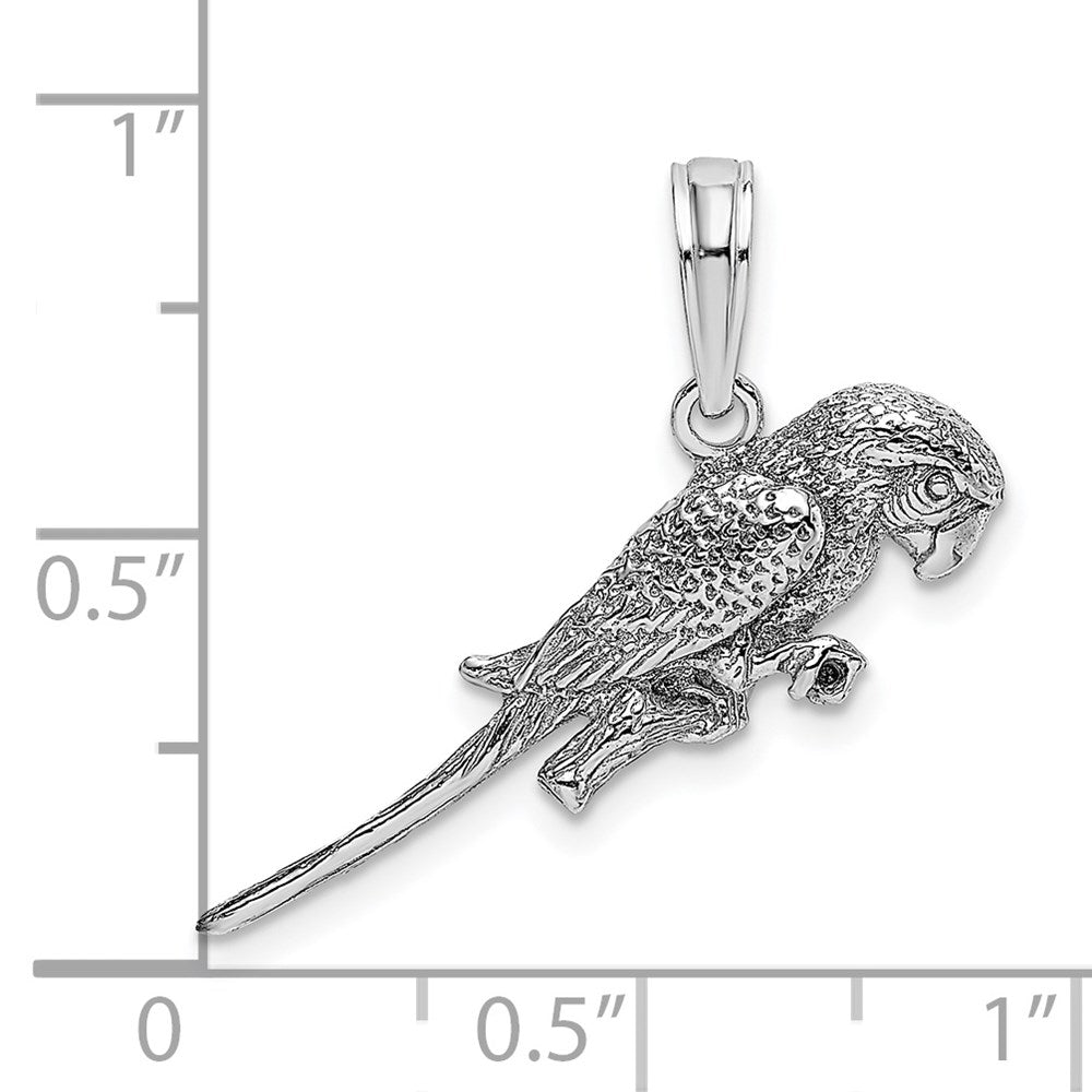 14K Weißgold 3-D Papagei-Charm