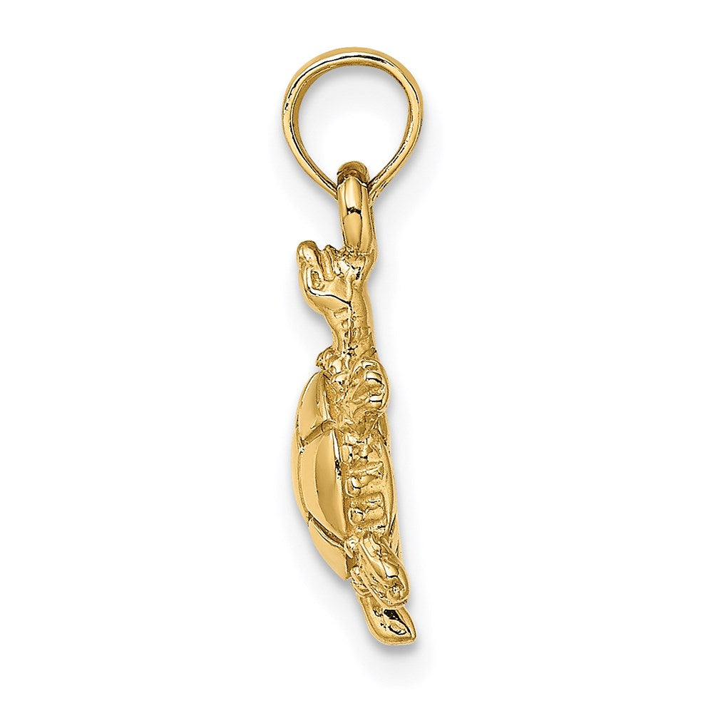 14K Gelbgold 3-D Polierter Landschildkröte-Charm